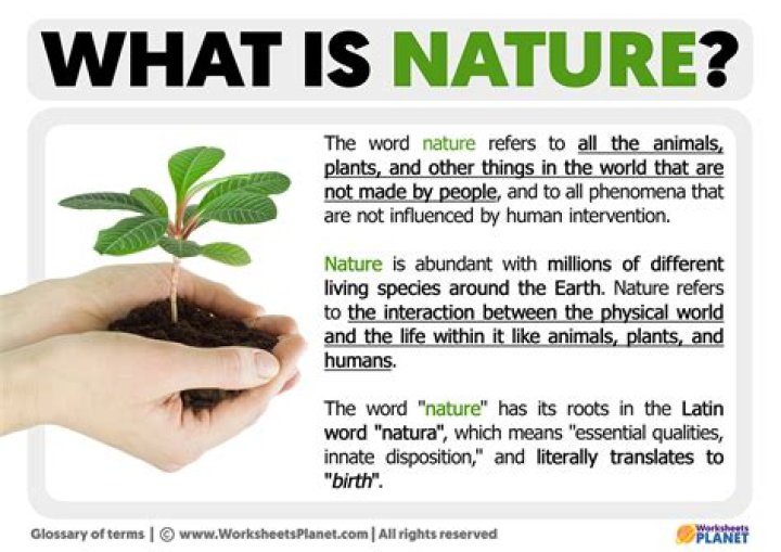 What is the definition of Nissan?