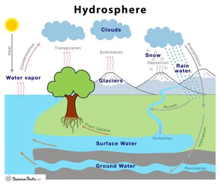 What is the definition of water displacement?