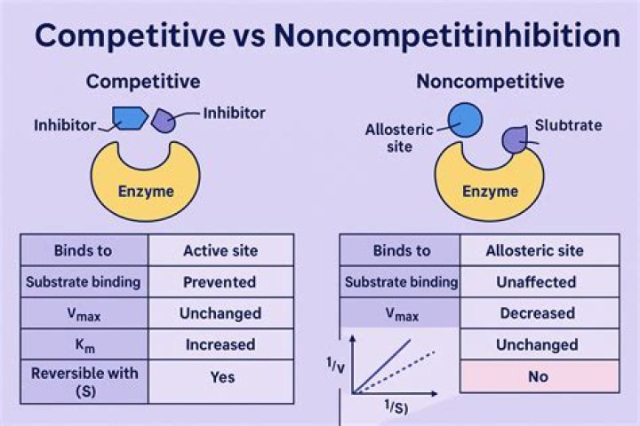 What is the difference between competitive inhibition and noncompetitive inhibition?