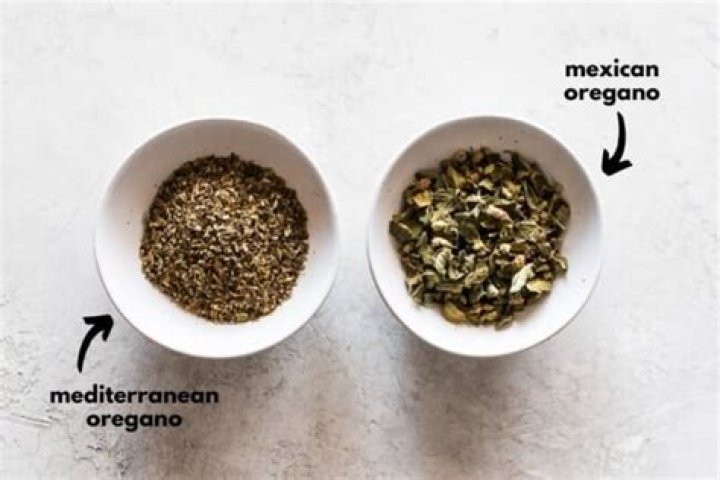 What is the difference between Mexican oregano and Italian oregano?