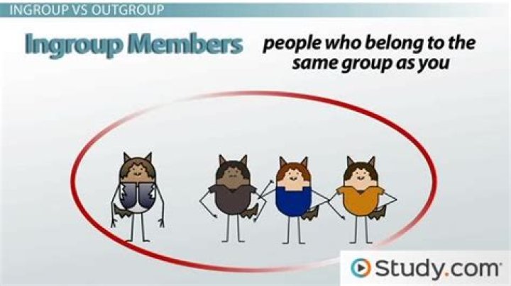 What is the ingroup outgroup phenomenon?