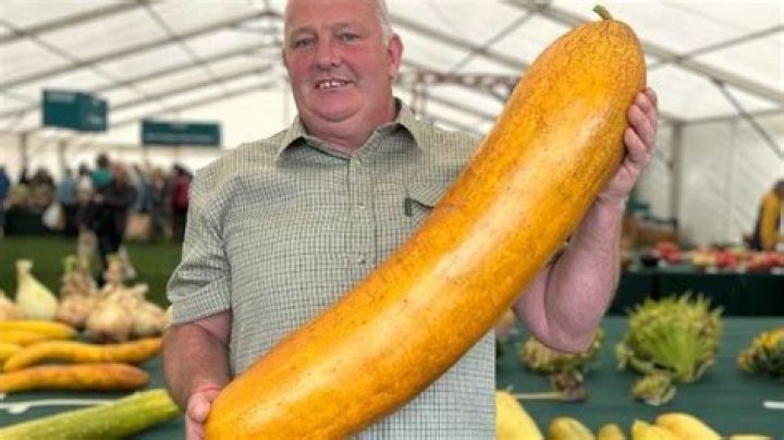 What is the largest cucumber in the world?