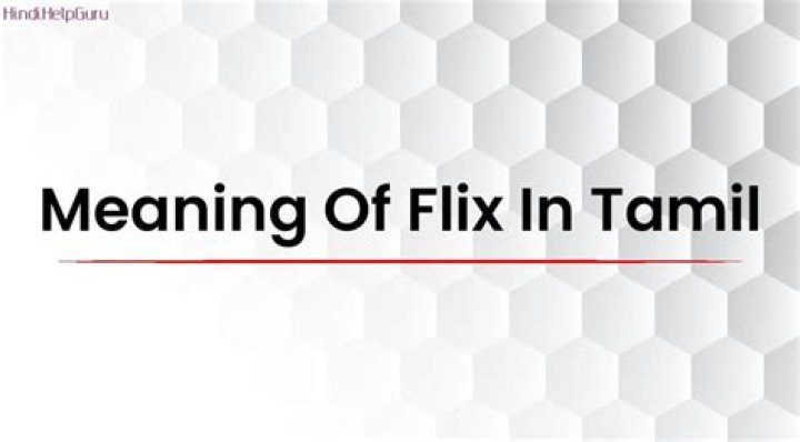 What is the meaning of Flix?