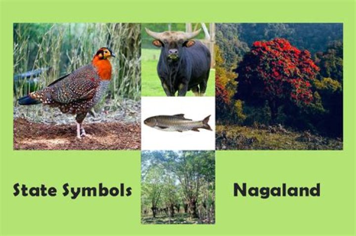 What is the official state bird?