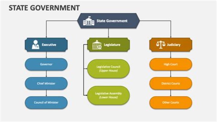 What is the primary goal of state and local interest groups?