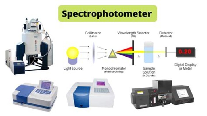What is the purpose of a spectrophotometer lab?