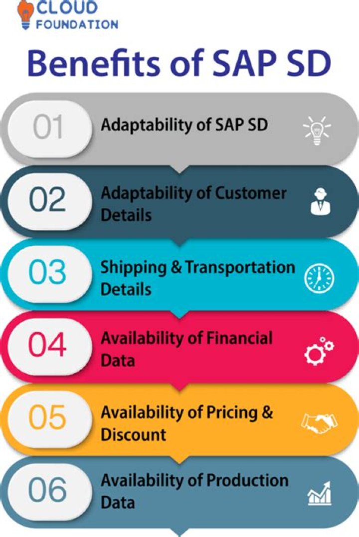What is the role of SAP SD Consultant?