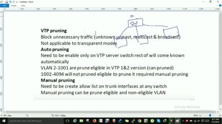 What is VTP pruning mode?