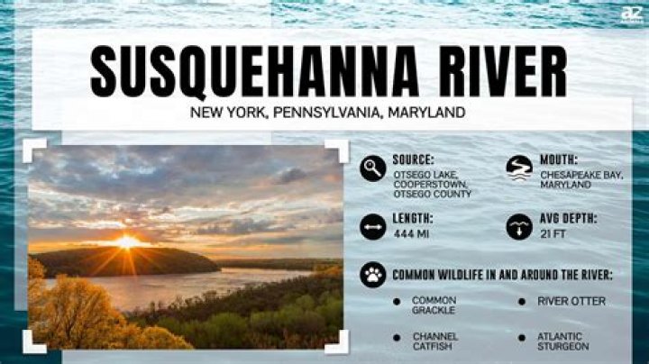 What lives in the Susquehanna River?