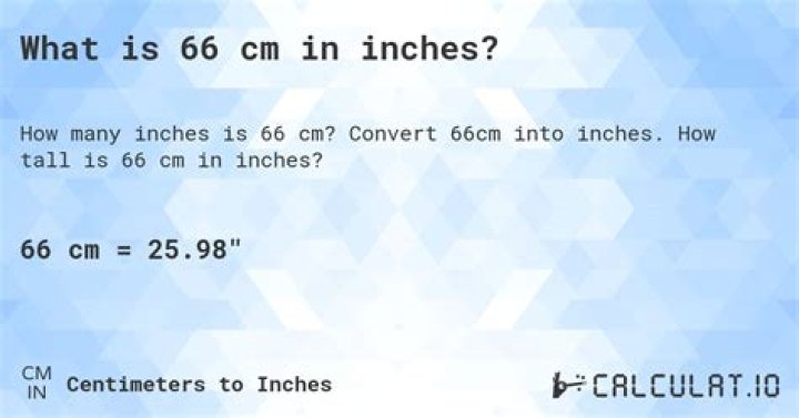 What size is 66 cm in inches?