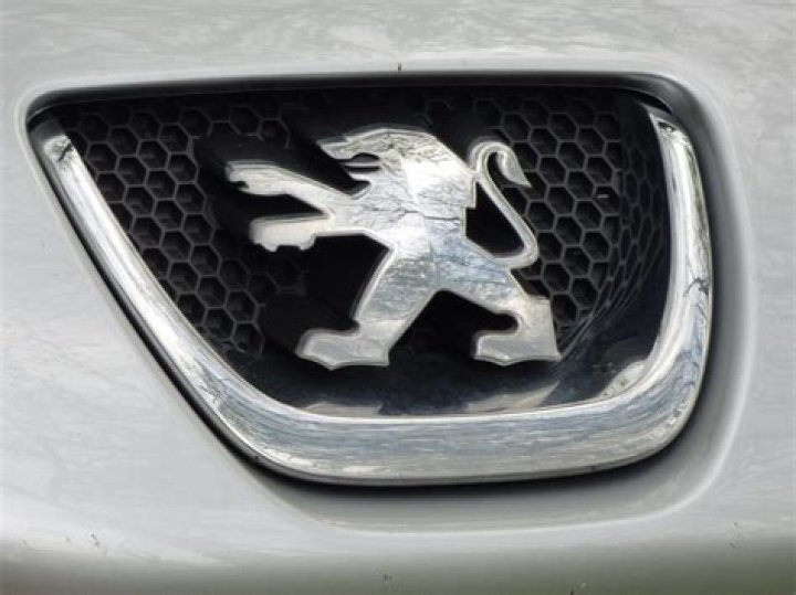 What type of car has a lion emblem?