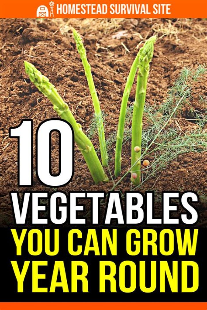 What vegetables grow all year round in Australia?