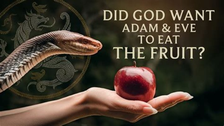 What was the fruit Adam and Eve ate?