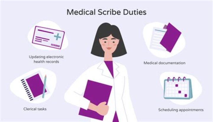 What were scribes responsibilities?