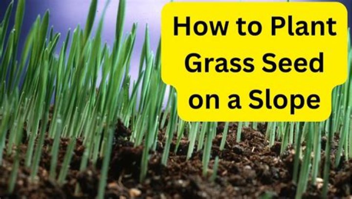 When should I plant grass seed in CT?
