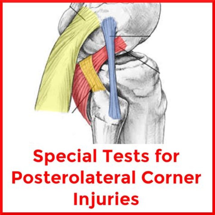 Where is the posterolateral corner?