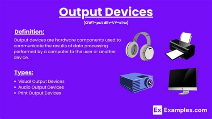 Which are the two commonly used output device?