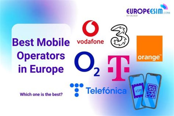 Which is the largest mobile operator in India?