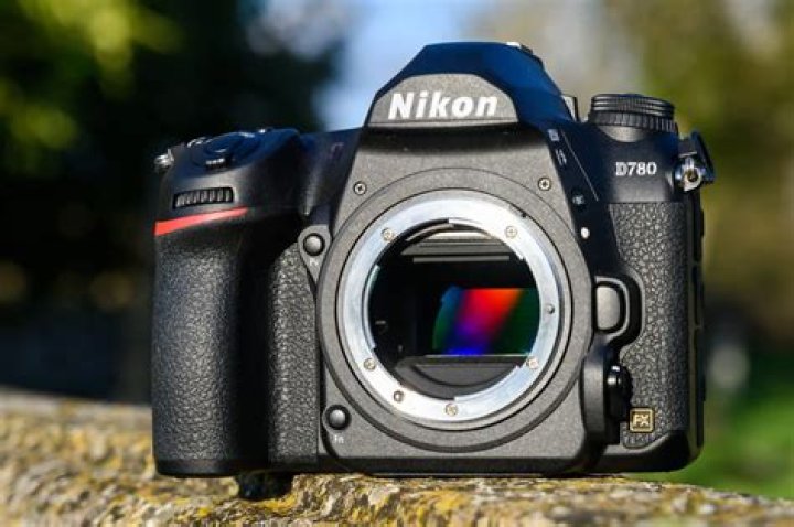 Which Nikon DSLR is best for professional photography?