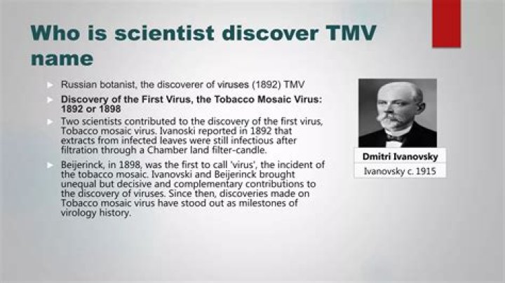 Who discovered TMV virus? | ContextResponse.com