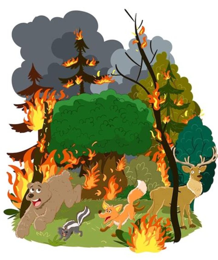 Who does Hester meet in the forest and why?