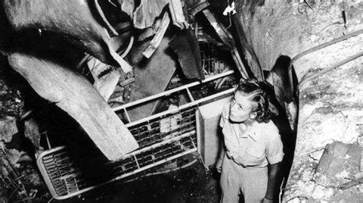 WHO warned FDR the Germans were developing atomic weapons and the US needed to do the same?