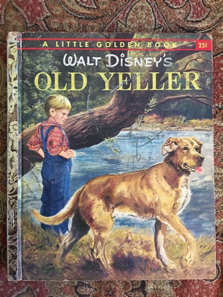 Who was the little boy in Old Yeller?