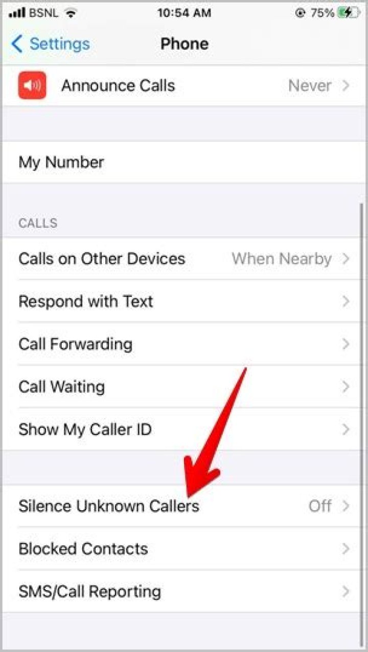 Why am I not receiving calls on my iPhone?