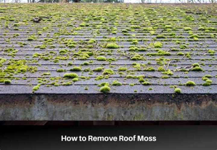Why do I have moss on my roof?
