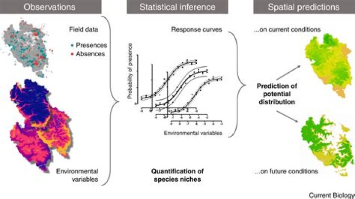 Why is ecological niche Modelling useful?
