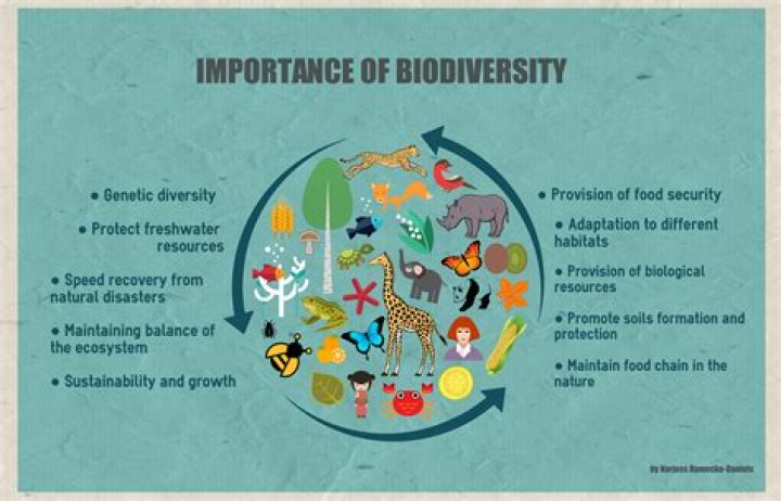 Why is it important to maintain species diversity in areas where humans live?