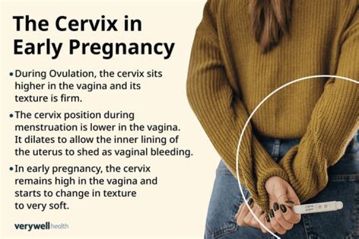 Why is my cervix open not pregnant?