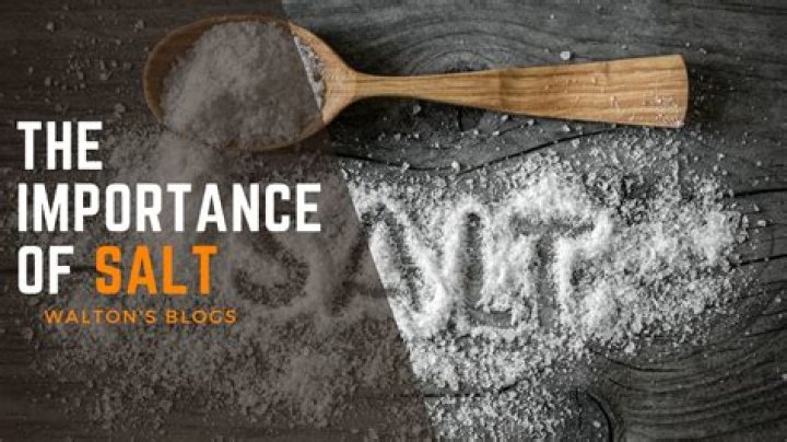 Why is salt so popular?